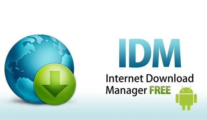 Internet Download Manager IDM 中文便携版 v6.42.2 - 优源网-优源网